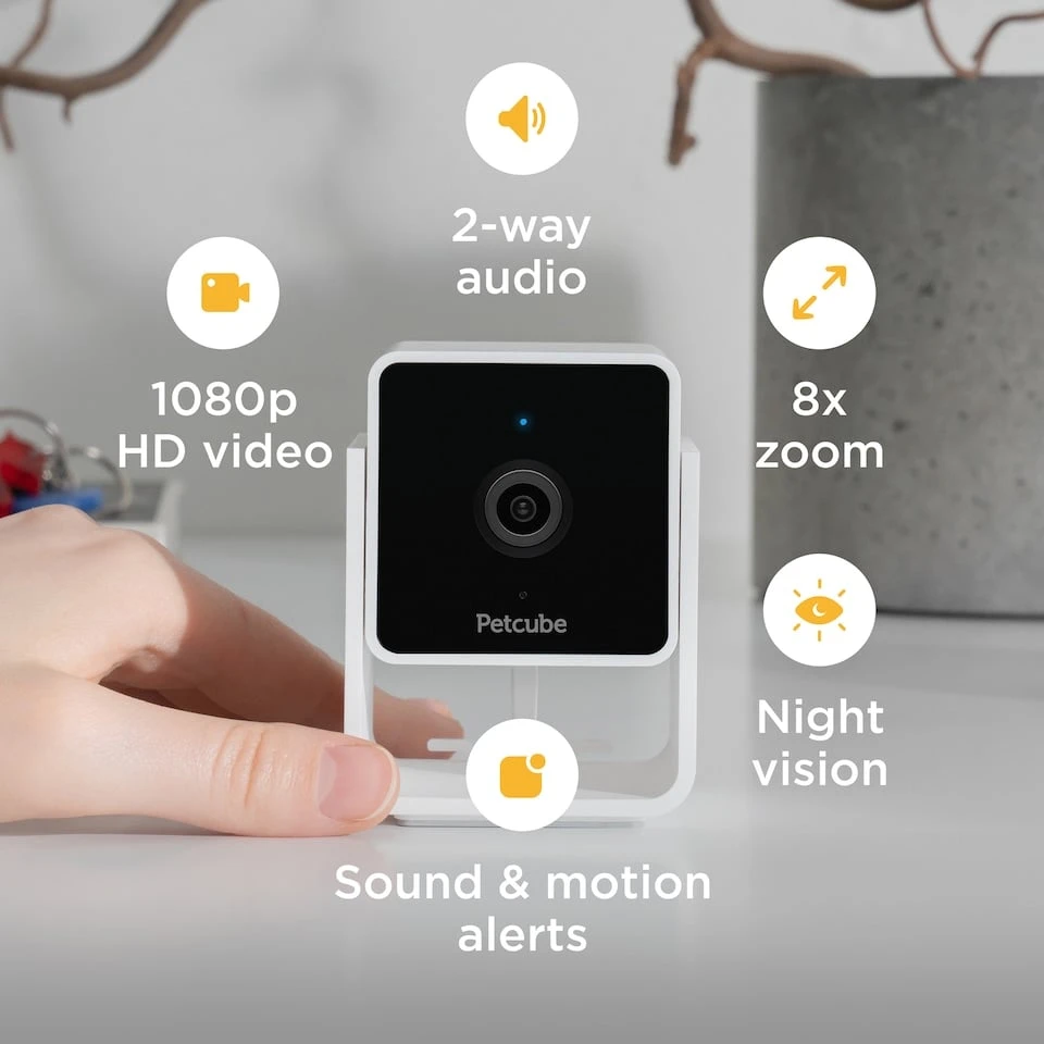 PetCube Cam