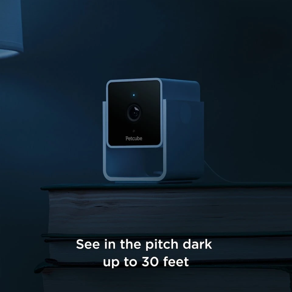 PetCube Cam