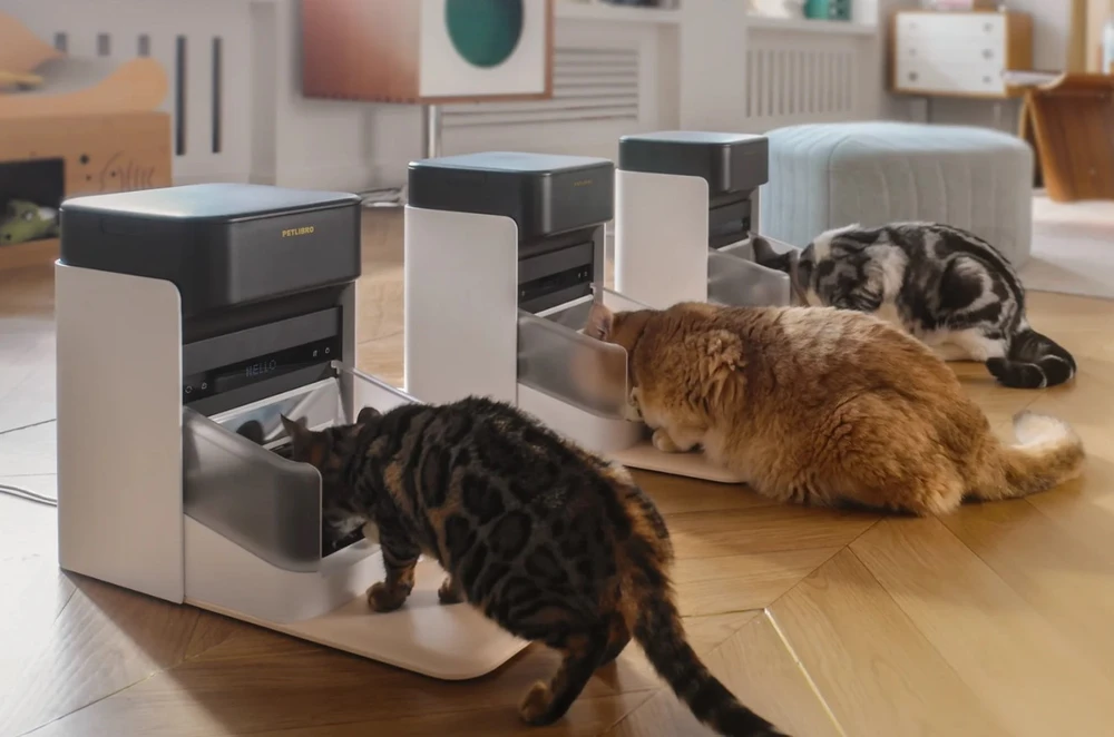 „Petlibro“ – VIENAS RFID augintinių šėrykla
