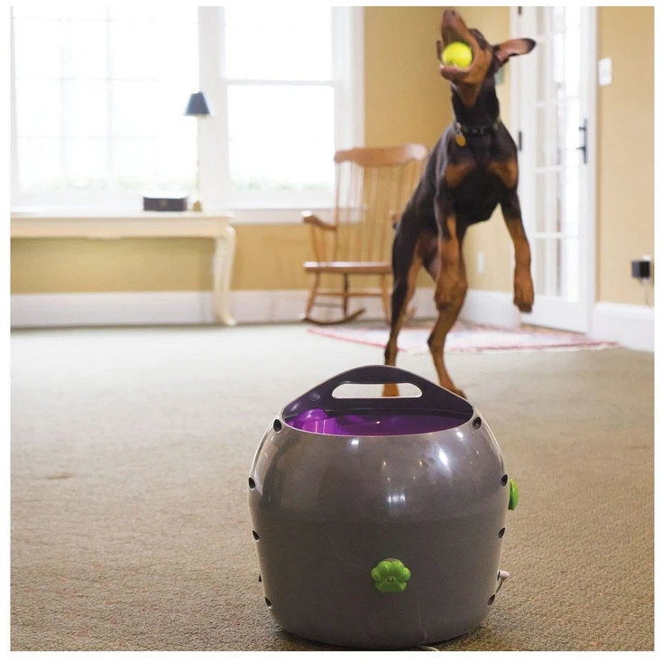 PetSafe Automatic Ball Launcher automatinis kamuoliukų mėtymo prietaisas šunims