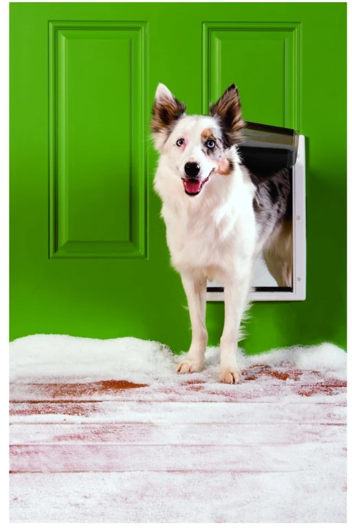 „Petsafe“ – ekstremalioms oro sąlygoms skirtos augintinių durys, M – (729849157958)