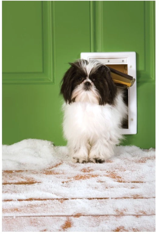 PetSafe Extreme Weather durelės ekstremalioms oro sąlygoms iki 7kg šunims