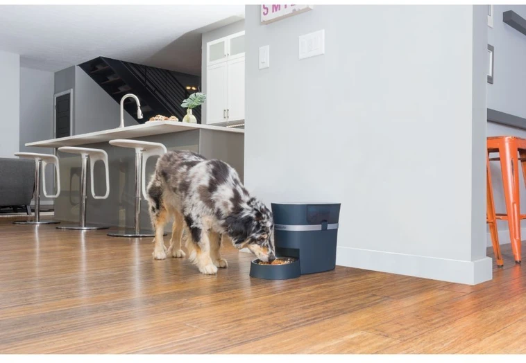 PetSafe Smart Feed Automatic Pet Feeder išmani automatinė šunų ir kačių šėrykla