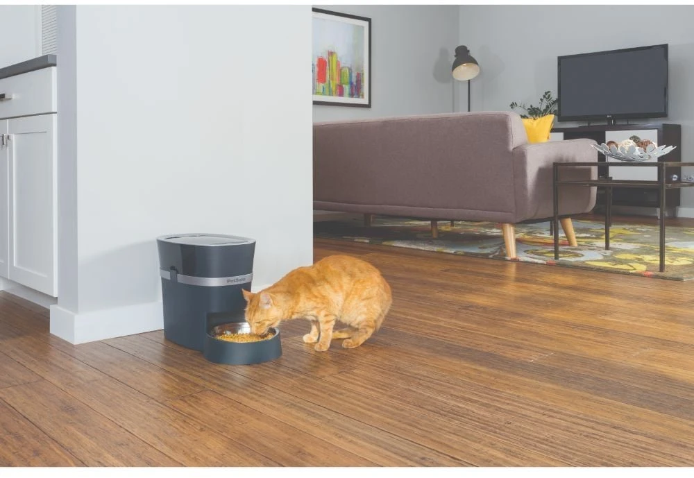 PetSafe Smart Feed Automatic Pet Feeder išmani automatinė šunų ir kačių šėrykla
