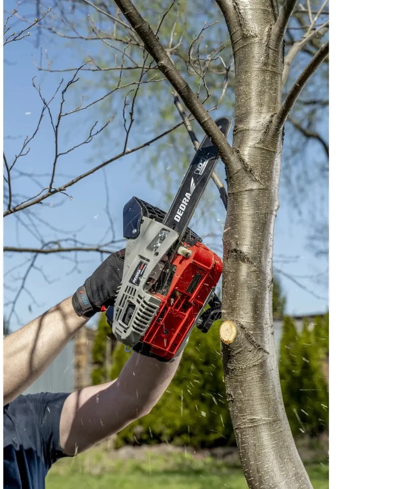 Dedra pjūklas Benzininis grandininis pjūklas 1 kW 25 cm