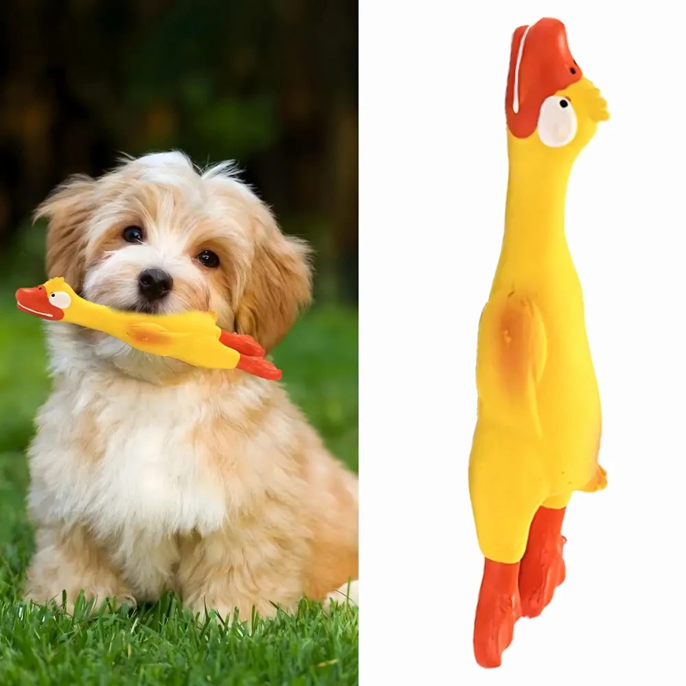 Piszcząca Cypinantis didelis guminis vištienos žaislas šunims ir šuniukams 22 cm