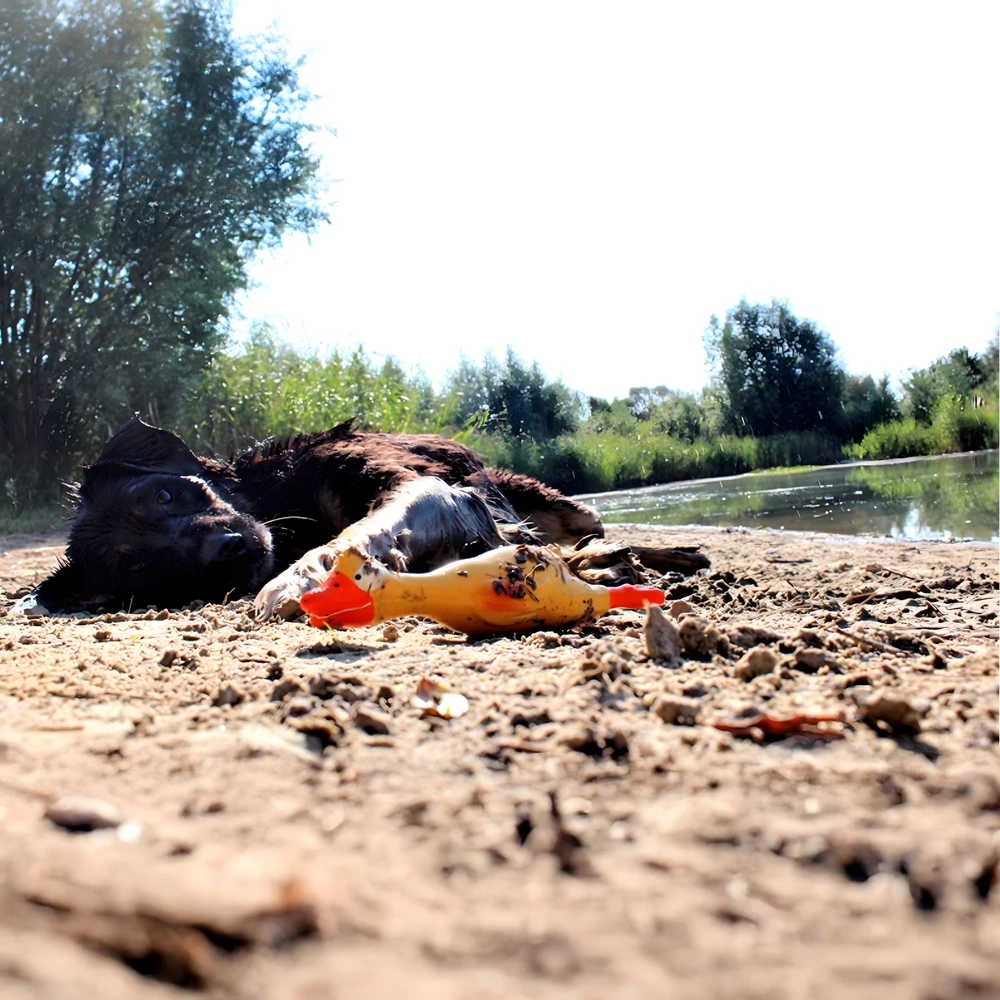 Piszcząca Cypinantis didelis guminis vištienos žaislas šunims ir šuniukams 22 cm
