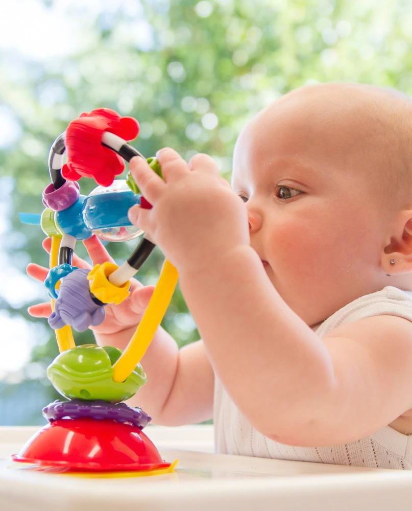 PLAYGRO besisukantis žaislas maitinimo kėdutei, 0182212