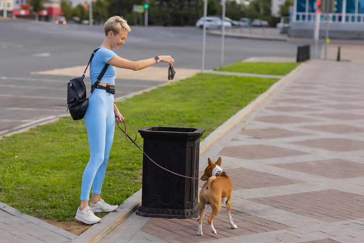 Podkład Vienkartinės palutės, 100 vnt + 30 vnt maišelių