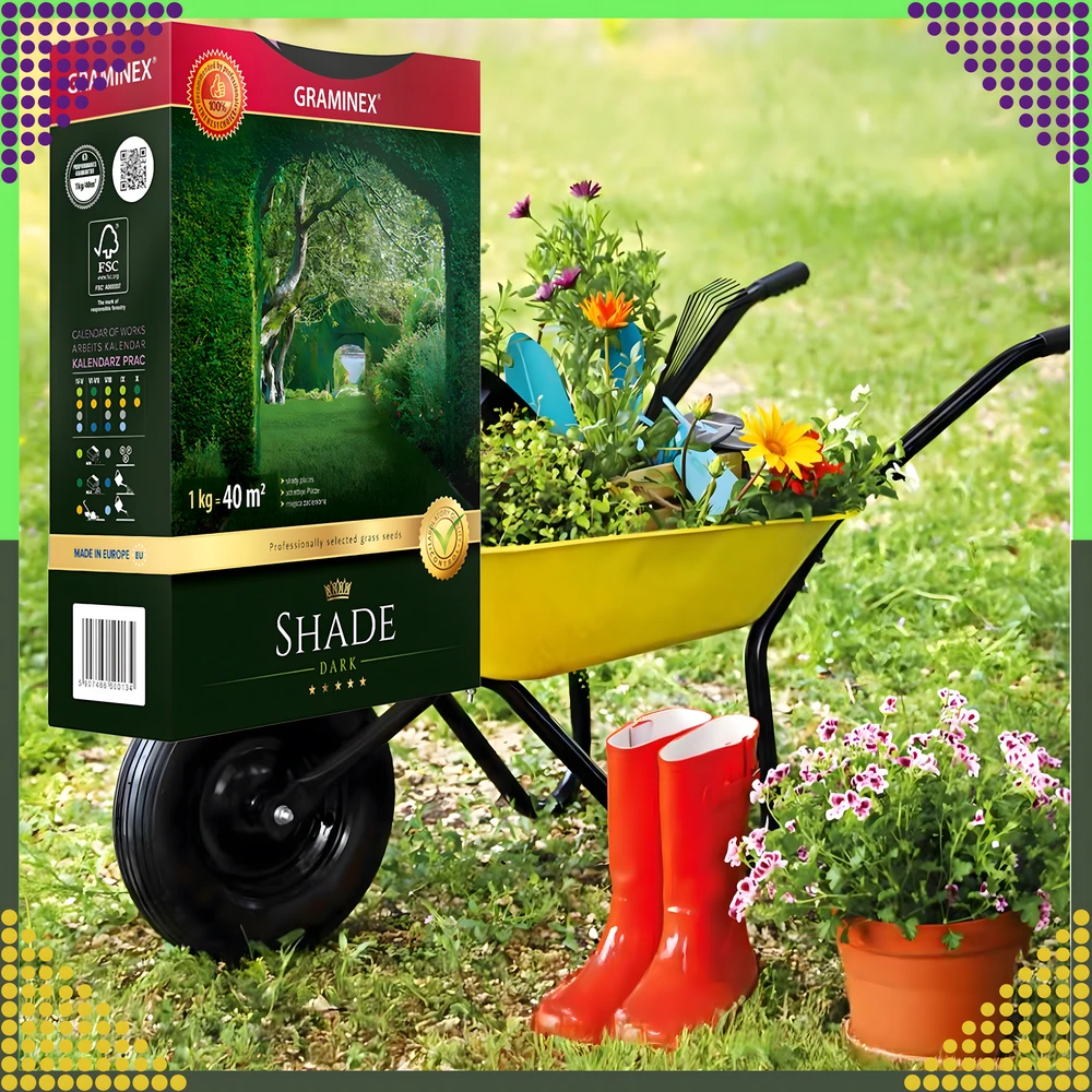 Premium Aukščiausios kokybės žolių sėklų mišinys SHADE 1kg 40m šešėlinėms vietoms