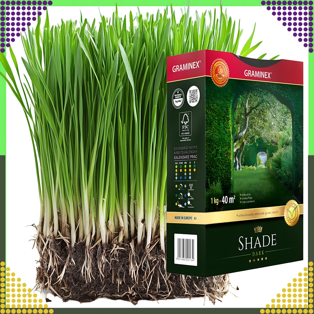 Premium Aukščiausios kokybės žolių sėklų mišinys SHADE 1kg 40m šešėlinėms vietoms