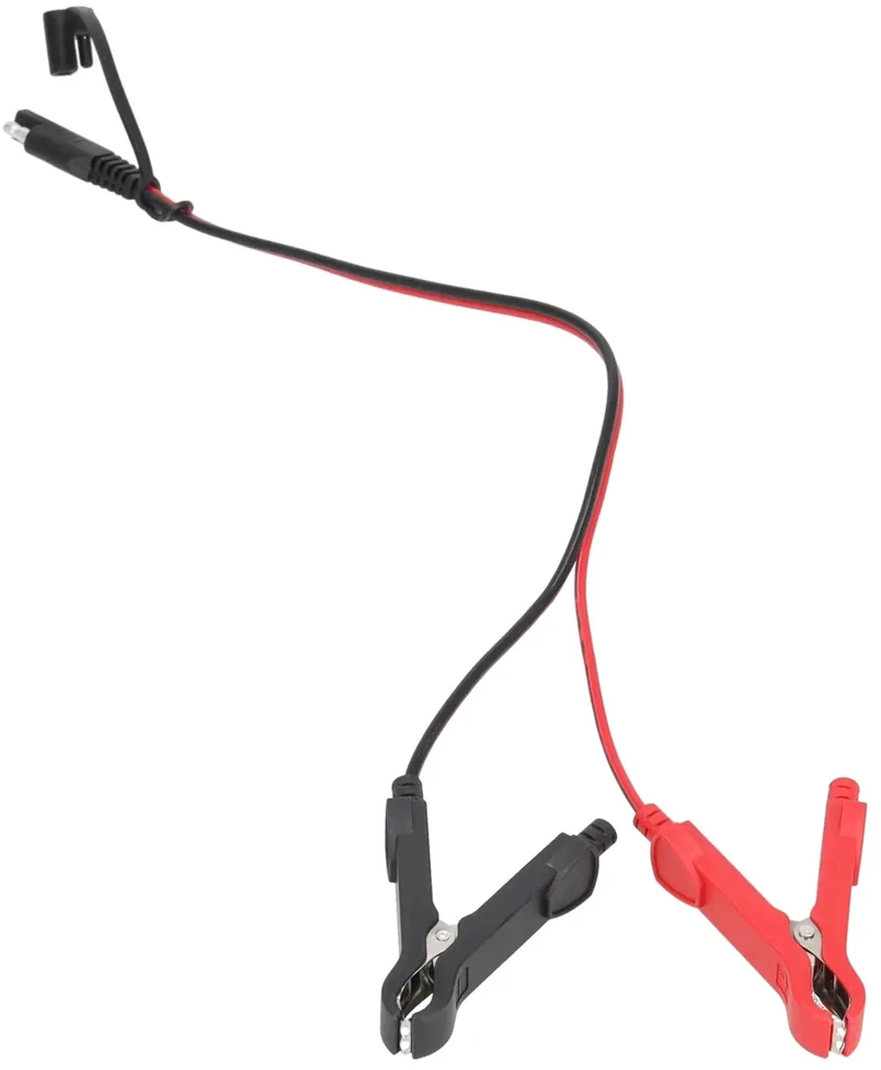 Dedra Mikroprocesorinis lygintuvas 10A6V12V 3200AhLCD LFP