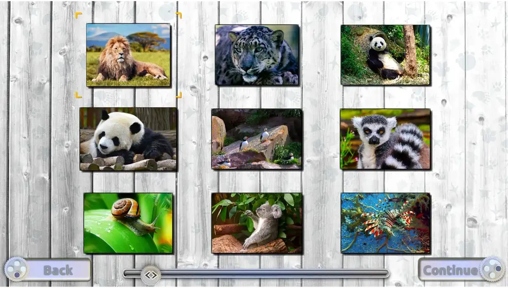Puzzle XXL 3 viename kolekcija – „Nintendo Switch“