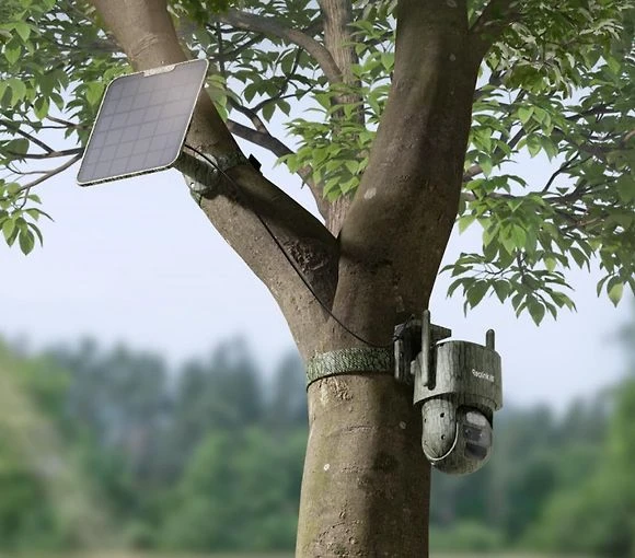 „Reolink“ – „TrackMix G770-C“ 4K laukinės gamtos PTZ kamera su baterija ir 4G ryšiu – maskuojantis