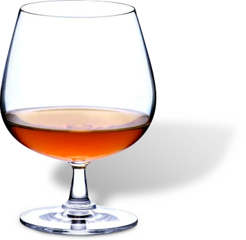 Rosendahl Grand Cru konjako stiklinės, 40 cl, 2 vnt. rinkinys