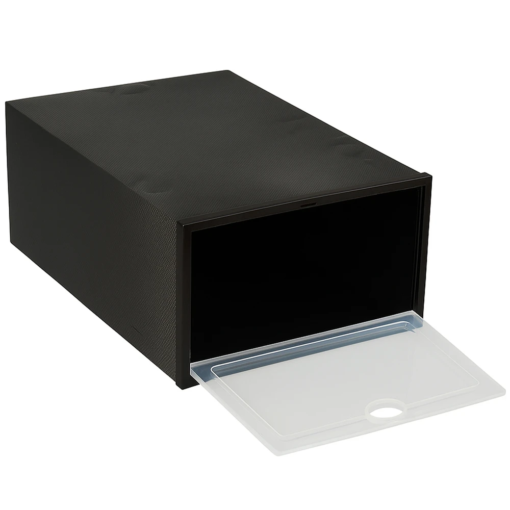 RTO Batų dėžučių rinkinys BoxOrganizer, 10 vnt.