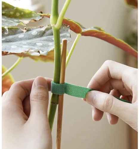 Velcro garden tape 5m Gardlov 25362