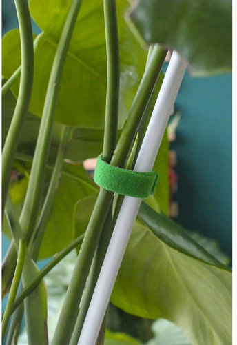 Velcro garden tape 5m Gardlov 25362