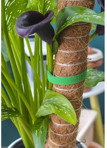Velcro garden tape 5m Gardlov 25362