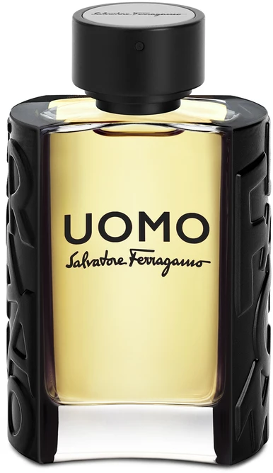 Salvatore Ferragamo Uomo EDT tualetinis vanduo unisex, 100 ml