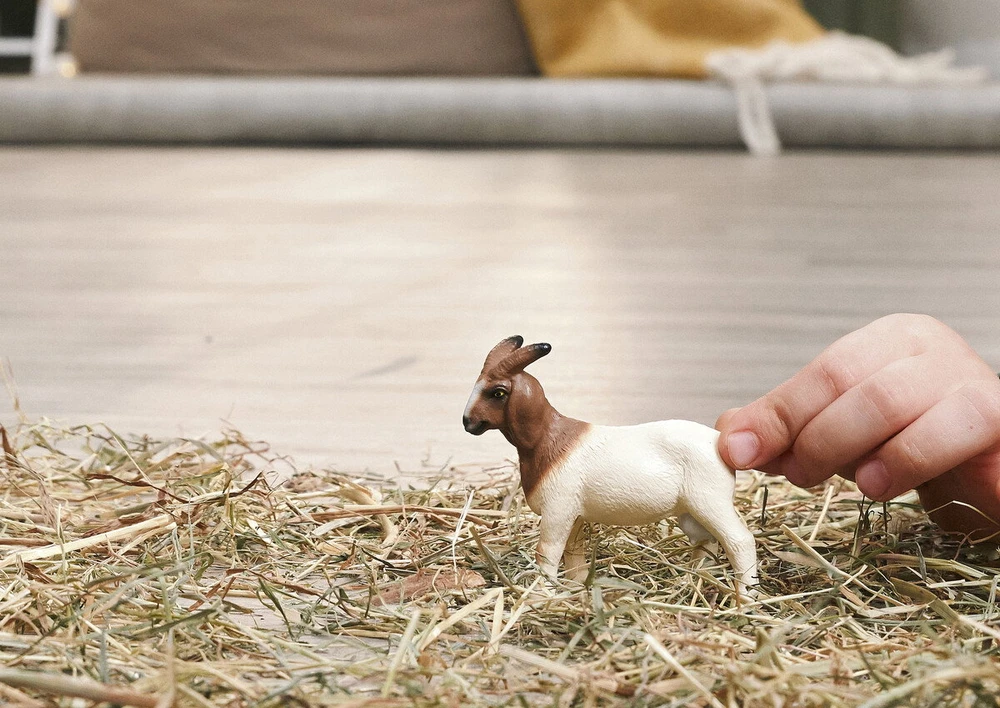 Schleich figūrėlė Būrų veislės ožka