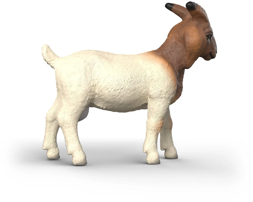Schleich figūrėlė Būrų veislės ožka