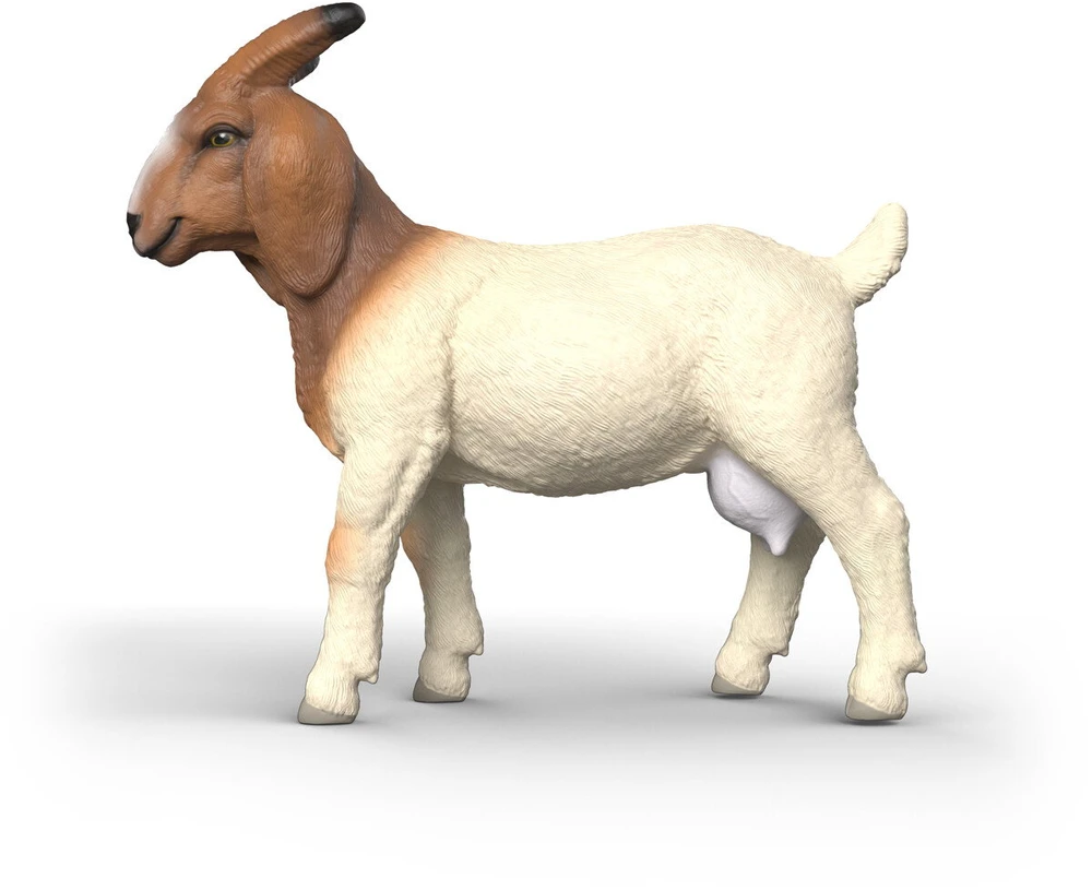Schleich figūrėlė Būrų veislės ožka