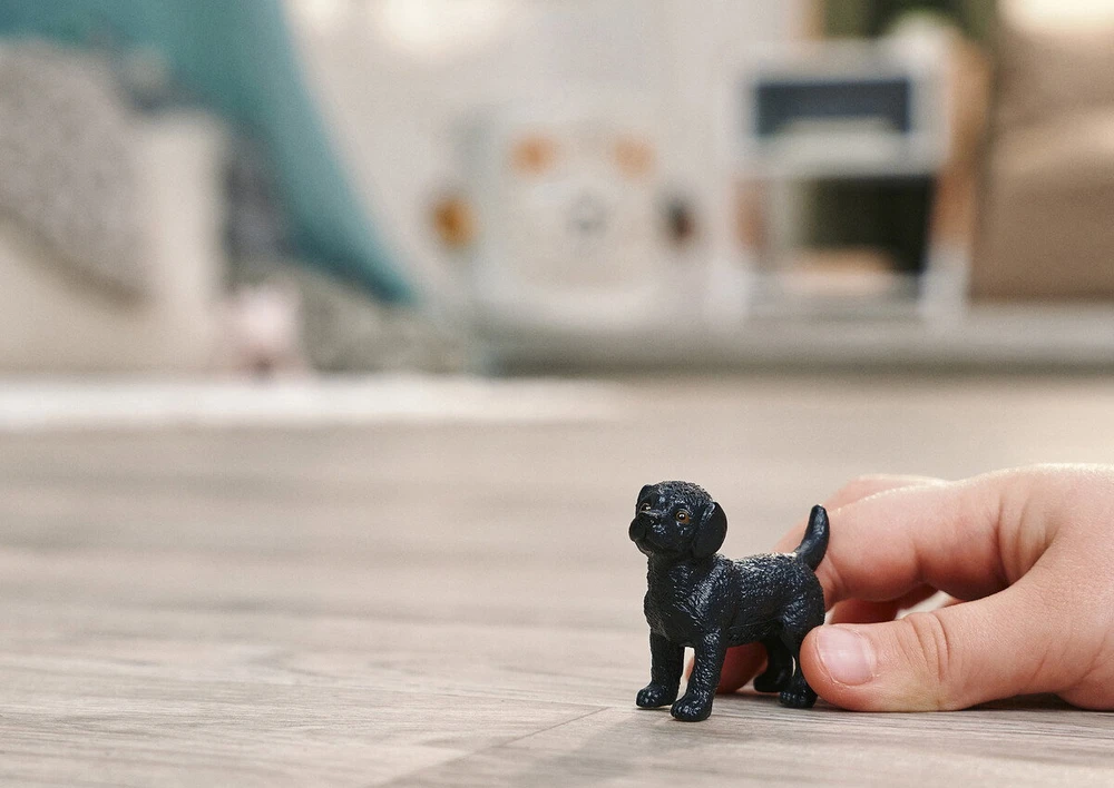 Schleich figūrėlė Juodas labradoro retriveris