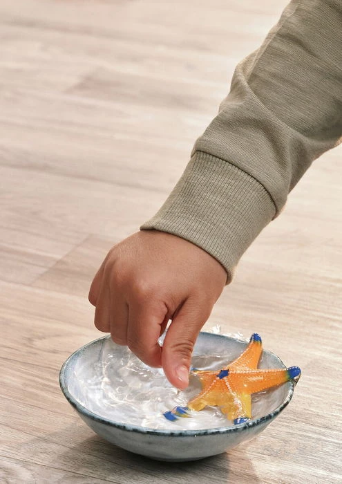 Schleich figūrėlė Jūrų žvaigždė (keičianti spalvą)