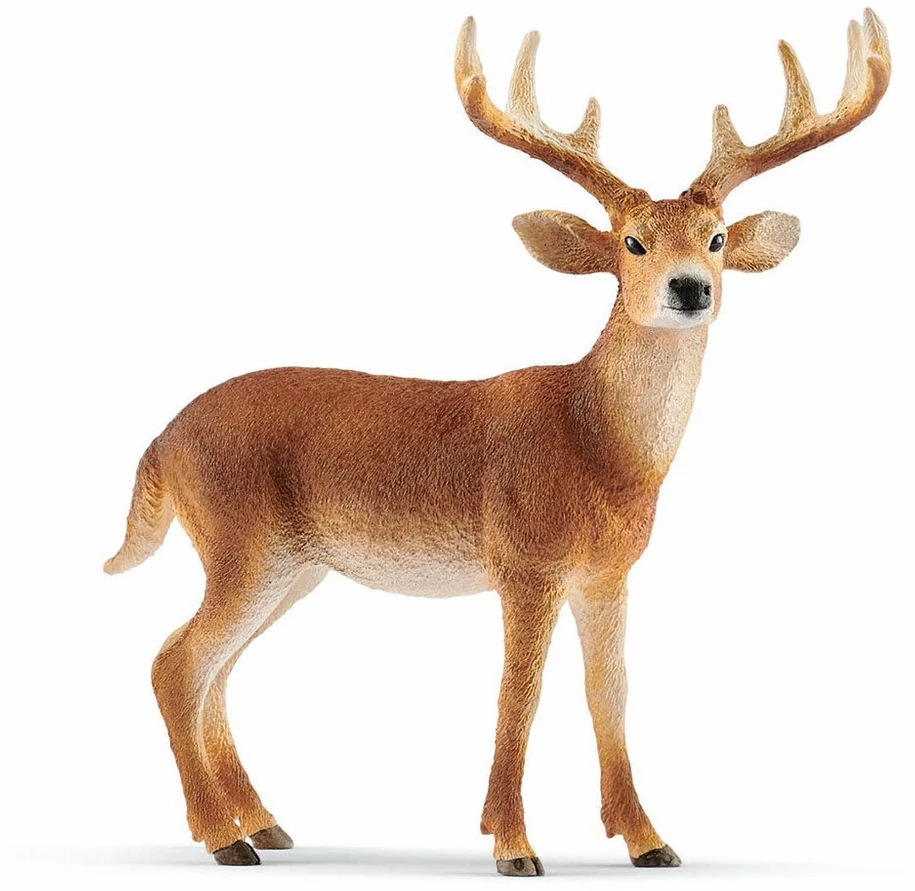 Schleich figūrėlė Baltauodegis elnias