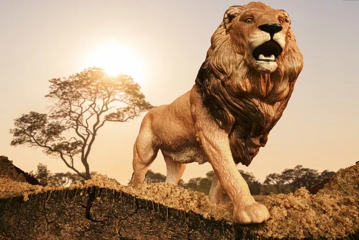 SCHLEICH WILD LIFE Afrikos liūtas