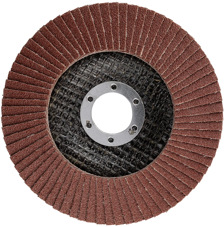Ściernica Plokštelinis šlifavimo diskas 125 x 22,2 mm, P100