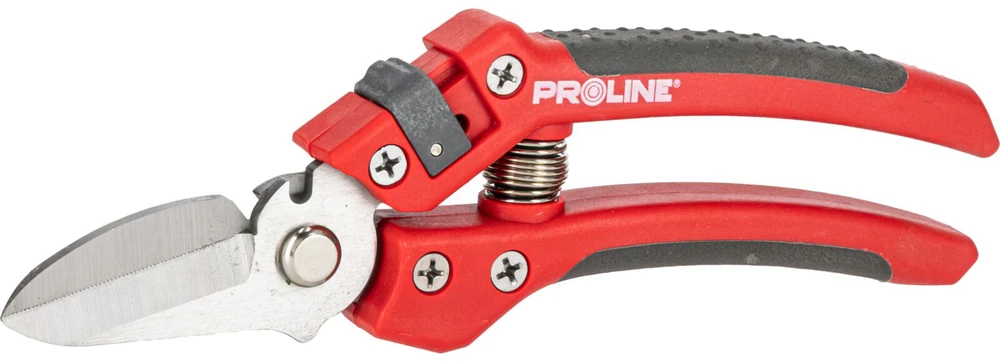 Sekator Aukščiausios kokybės gėlių žirklės, nerūdijančio plieno, 8", minkštos, proline