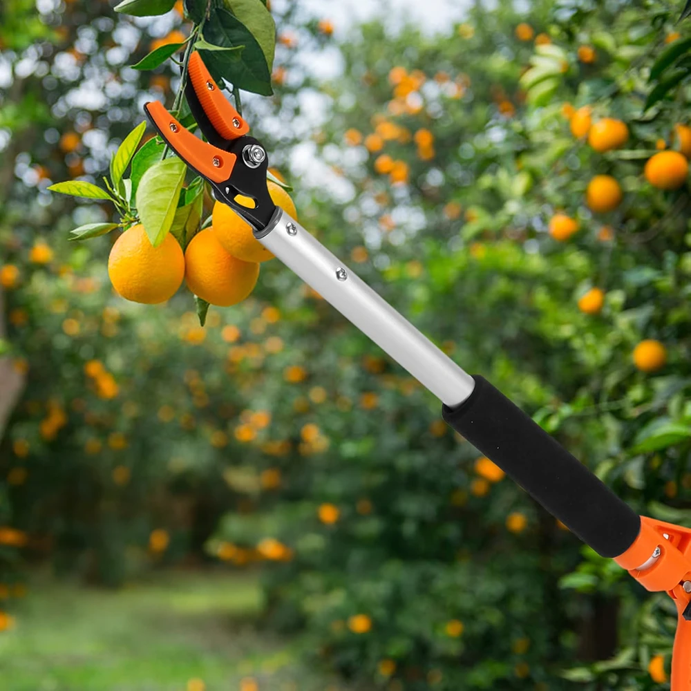 Sekator Genėjimo žirklės Žirklės medžių šakų genėjimui Vaisių skynimui Ilgos