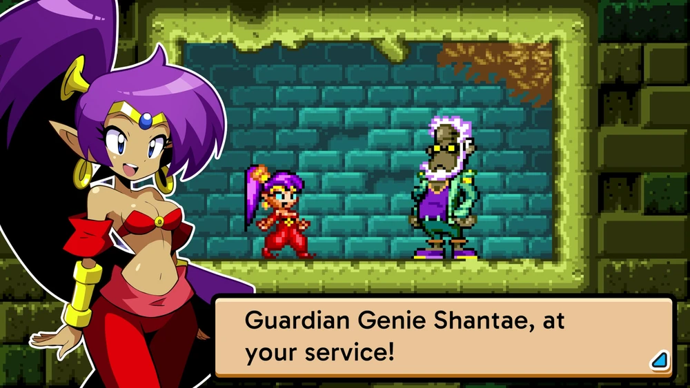 „Shantae Advance: Risky Revolution“ (riboto leidimo) – „Nintendo Switch“
