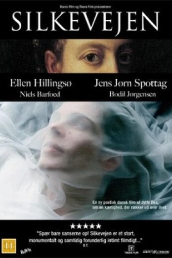Šilko kelias (DVD)