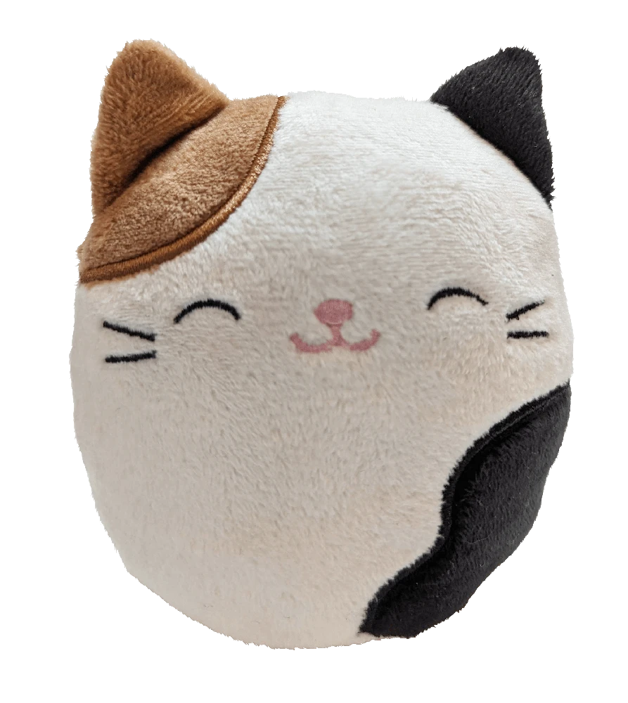 Squishmallows Bluetooth garsiakalbis Cam
