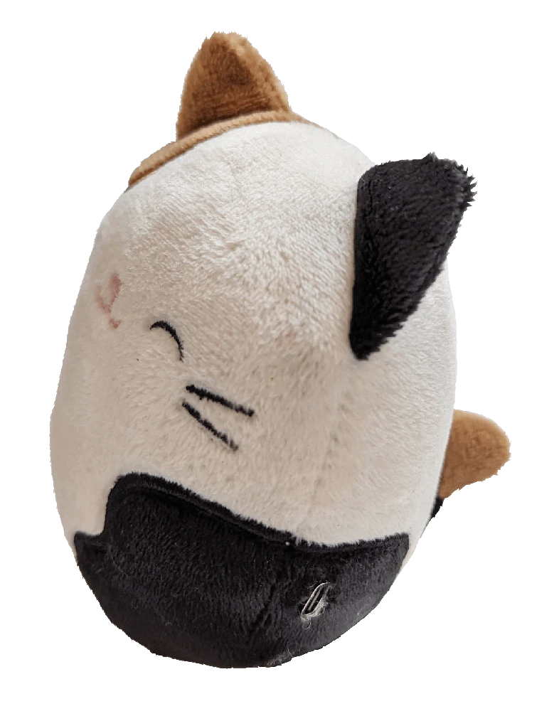 Squishmallows Bluetooth garsiakalbis Cam