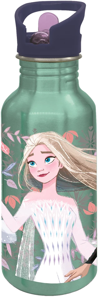 Frozenq Stor,Disney Šaldytas aliuminio buteliukas-gertuvė - 545 ml
