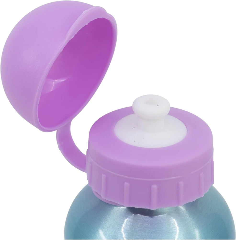 Stor „Gabby“ lėlių namelio aliuminio butelis 400 ml