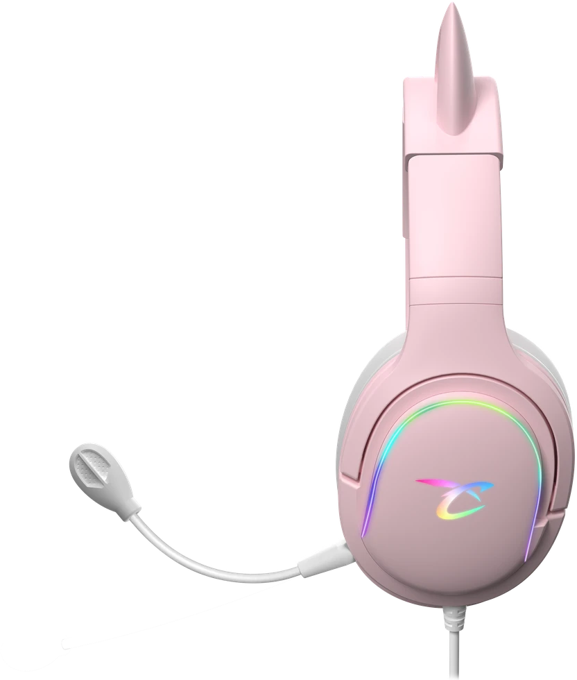 Subsonic Žaidimų ausinės su mikrofonu ir RGB apšvietimu