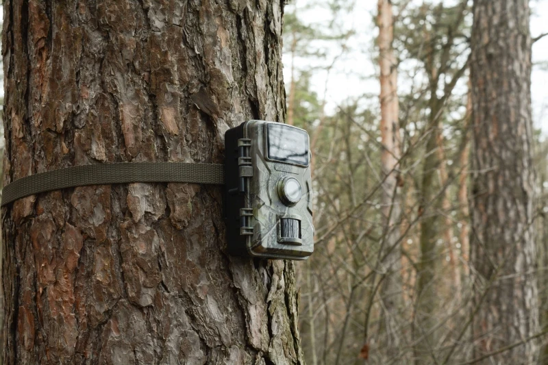 „Technaxx“ – „Wildcam 1080P“ – TX-256