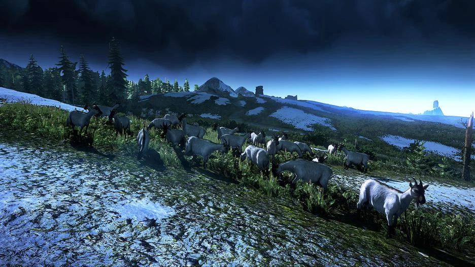 Cd Project „The Witcher III“ (3): „Wild Hunt“ (Metų žaidimo leidimas) – „XBOX One“