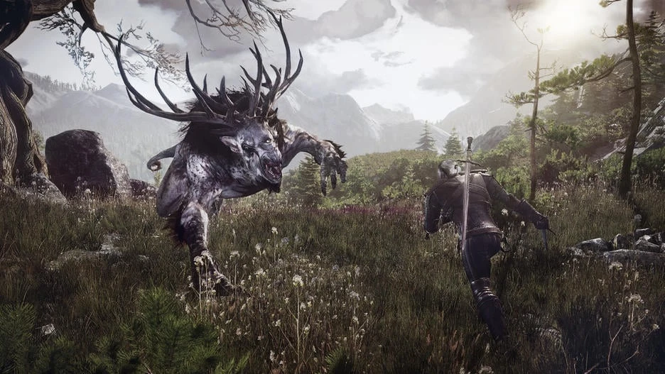 Cd Project PS4 Witcher III Goty