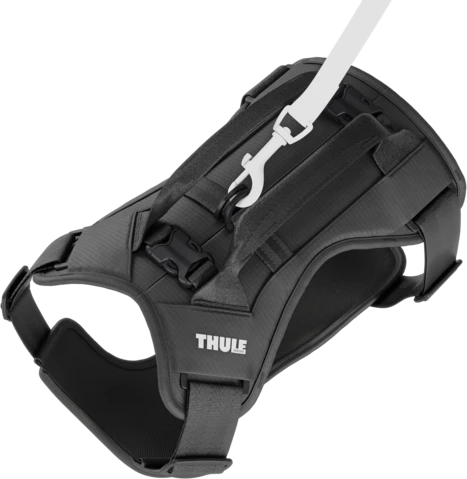 Thule Cappy automobilio diržas S iki 11 kg