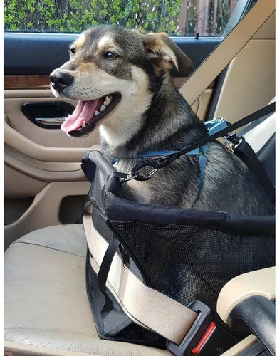 Dog Carrier for Seat Purlov 20973