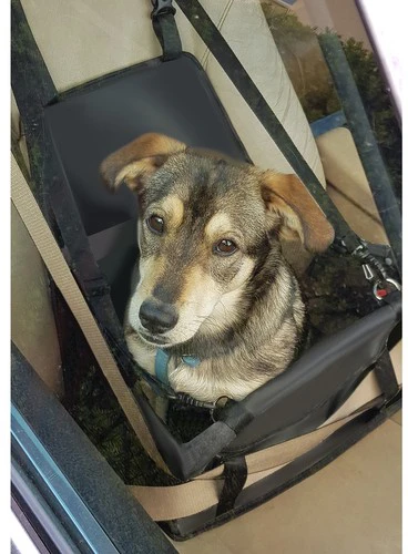 Dog Carrier for Seat Purlov 20973