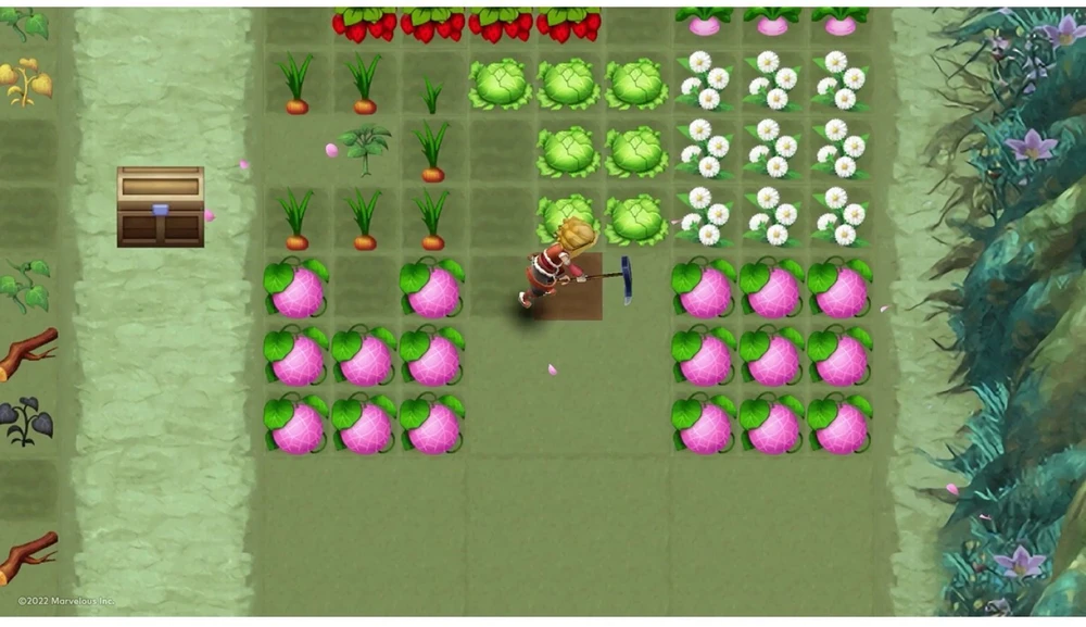 Ubisoft „Rune Factory 3 Special“