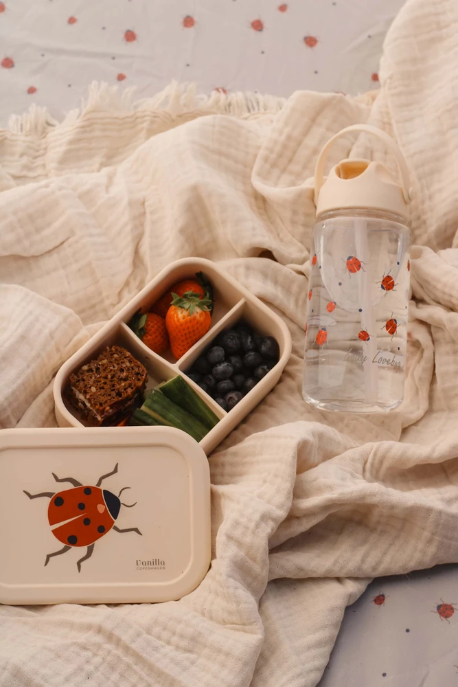 „Vanilla Copenhagen“ – pietų dėžutė – „Ladybug“ – silikoninė – 700 ml (LUNC9625)