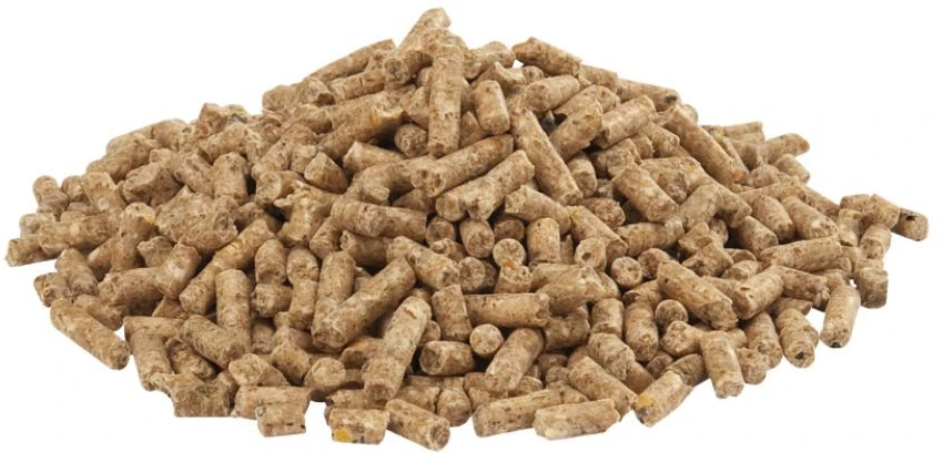 Versele Laga - GOLD 4 Gallico pileris - 20kg